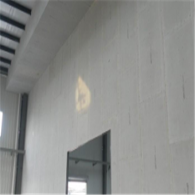 宜兴宁波ALC板|EPS加气板隔墙与混凝土整浇联接的实验研讨